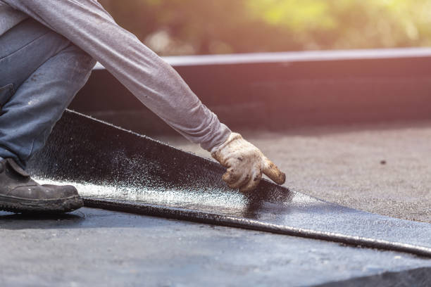 Professional Interior Drainage System technician working in Danville, VA